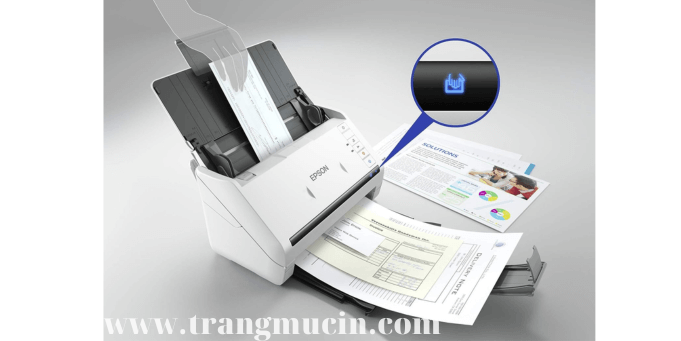 xuất file tài liệu pdf được scan từ máy Epson ds-530ii