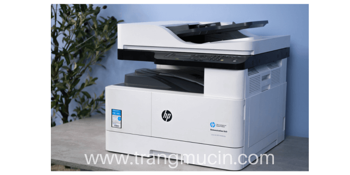 đặt máy in laser hp laserjet pro mfp m436nda lên bàn làm việc cạnh chậu cây 