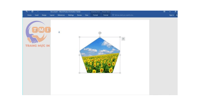 Cách chèn ảnh vào Shape trong Word - 2