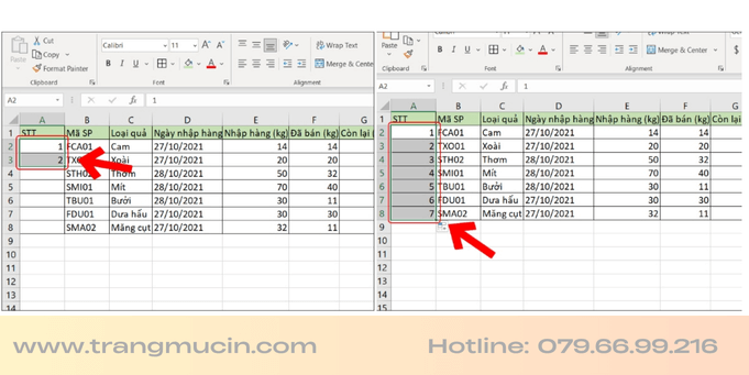 Cách tự đánh số thứ tự trong excel