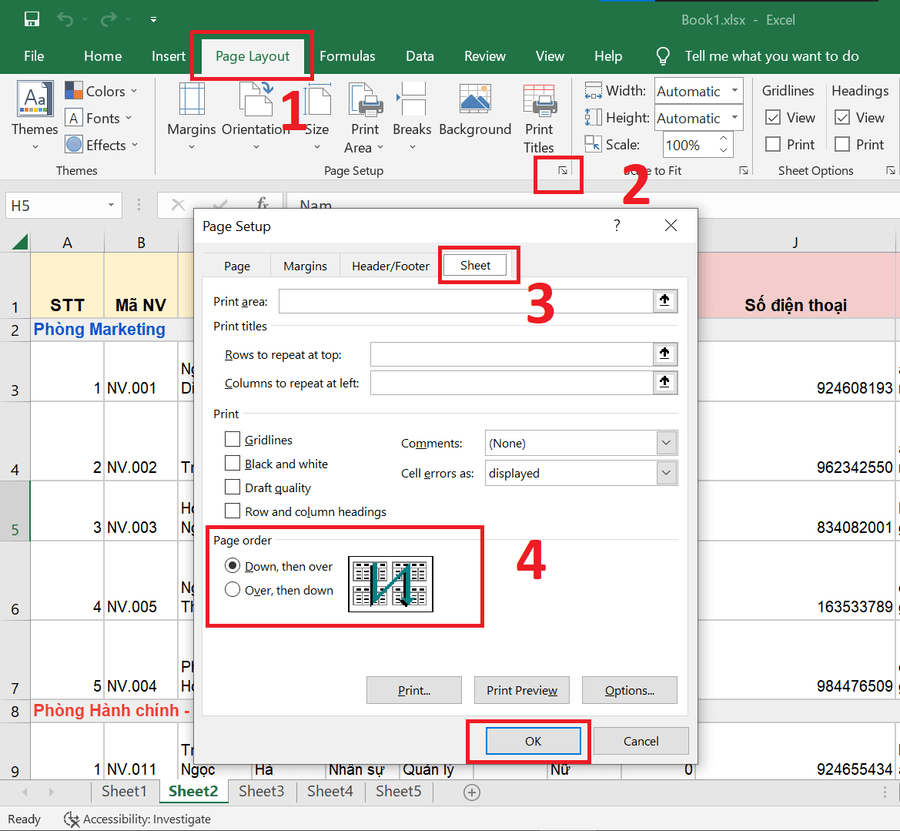 Cách in trang chẵn, lẻ trong file Excel